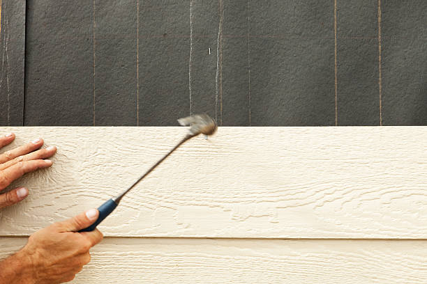 Best Siding Repair  in Inglewood, CA